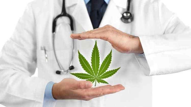 Medical Cannabis market size explored by doctor in uniform holding little plant